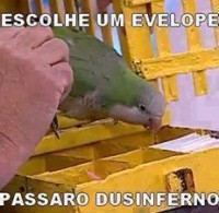 /album/rindo-no-maximo/escolhe-um-envelope-passaro-dusinferno-jpg/